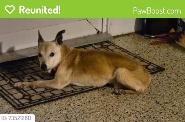 Reunited Unknown Dog last seen Cascades, port saint lucie, fl, Port St. Lucie, FL 34986
