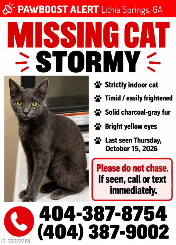 Lost Female Cat last seen Mt Vernon rd, Lithia Springs, GA 30122