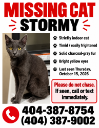 Lost Female Cat last seen Mt Vernon rd, Lithia Springs, GA 30122
