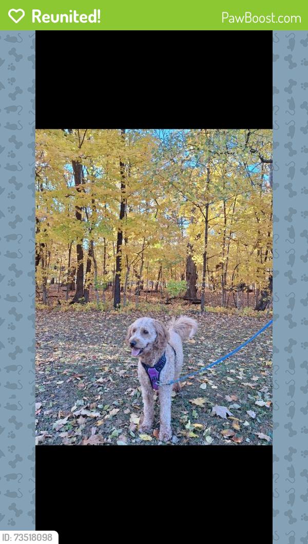 Reunited Female Dog last seen Mineral Point and Crosby St, Janesville, WI, Janesville, WI 53548