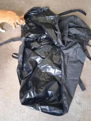 Lost Male Cat last seen Scott st and the corner of near st, Corvallis, OR 97333