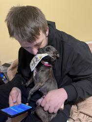 Reunited Female Dog last seen W Florida & main st, Evansville, IN 47710