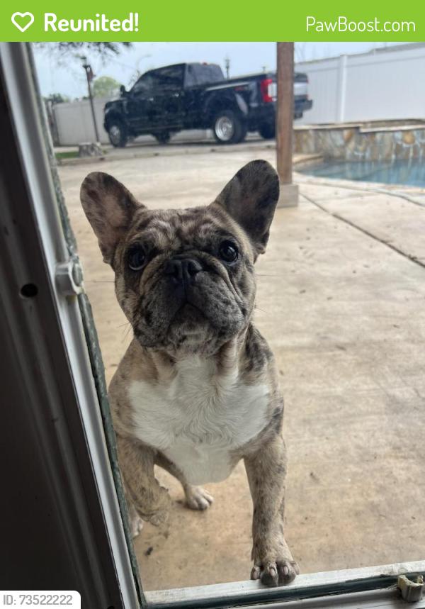 Reunited Male Dog last seen Transite Ave, San Diego, CA 92154
