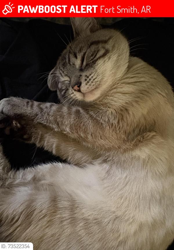 Lost Male Cat last seen the neighborhood area behind zero street, Fort Smith, AR 72908