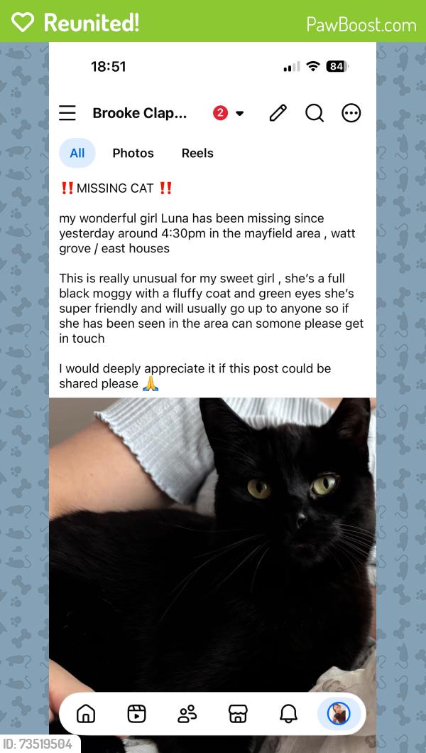 Reunited Female Cat last seen Watt grove, Mayfield, Scotland 