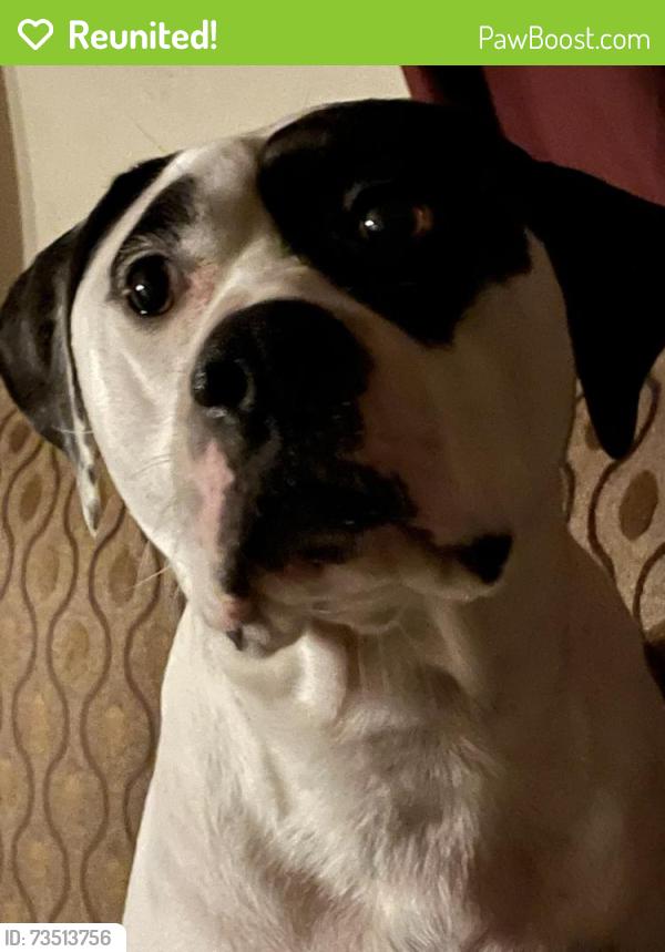 Reunited Female Dog last seen West Tulsa, ok, Tulsa, OK 74107