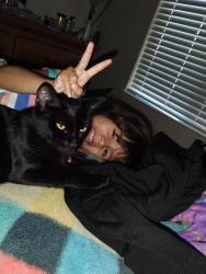 Lost Female Cat last seen W 4th ave, Chico, CA 95926