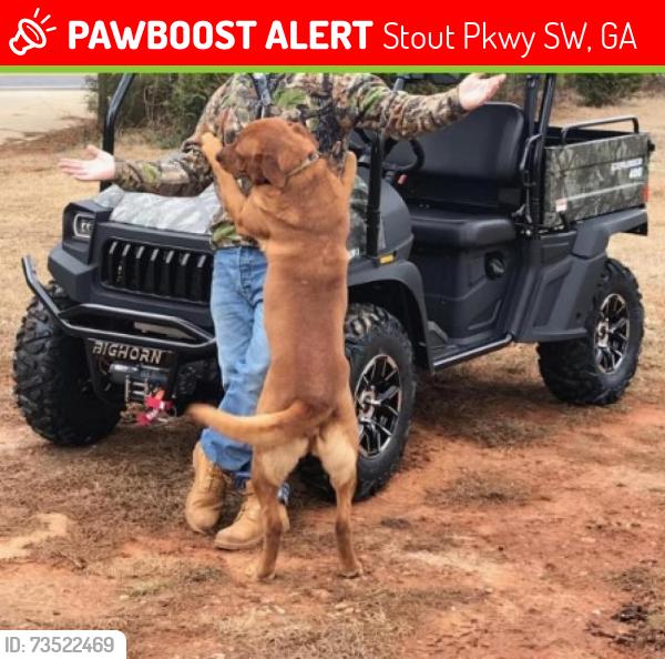 Lost Male Dog last seen Stout Parkway, Stout Pkwy SW, GA 30127