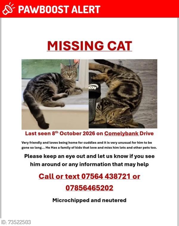 Lost Male Cat last seen Doncaster road, Denaby Main, England 