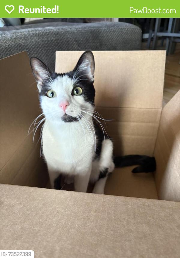Reunited Male Cat last seen Southlands, Aurora, CO 80016