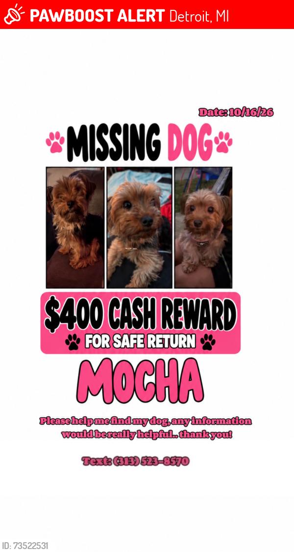 Lost Female Dog last seen Livernois and Florence st, Detroit, MI 48221
