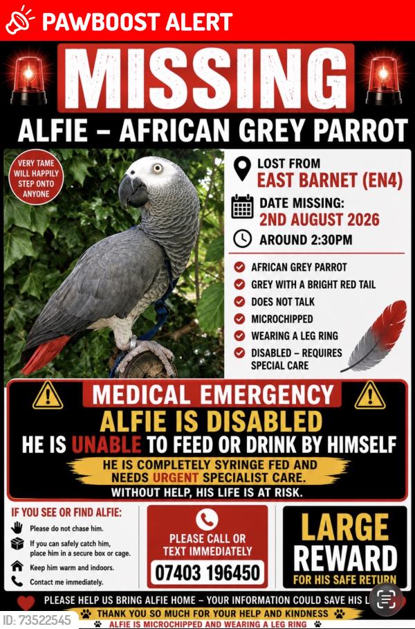 Lost Unknown Bird last seen Fefney Road, London, England EN4 8JX