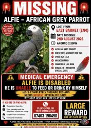 Lost Unknown Bird last seen Fefney Road, London, England EN4 8JX