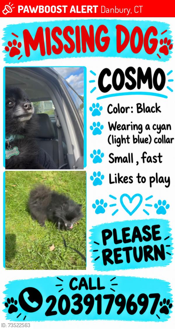 Lost Male Dog last seen 27B James st, Danbury, CT 06810