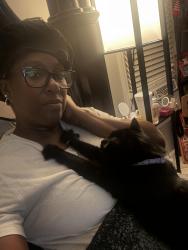 Reunited Female Cat last seen Hey 84 Grayson Parkway, Grayson, GA 30017