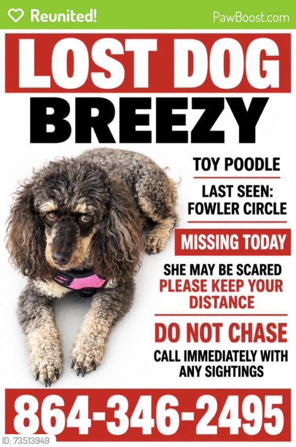 Reunited Female Dog last seen Fowler Circle, Greenville, SC 29662