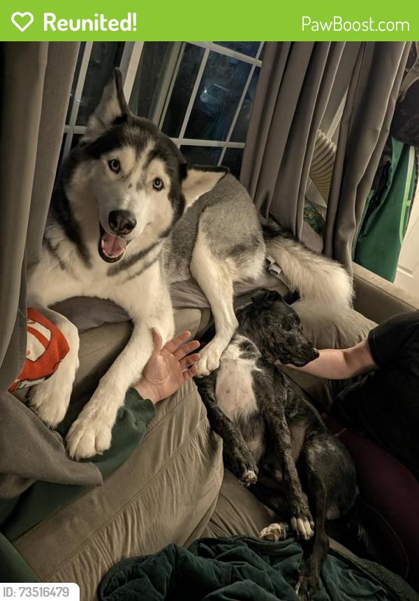 Reunited Male Dog last seen He got out from our backyard, don't know what direction he went, Worcester, MA 01605