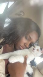 Lost Female Cat last seen Zip car wash Patterson at near woods, Greensboro, NC 27403