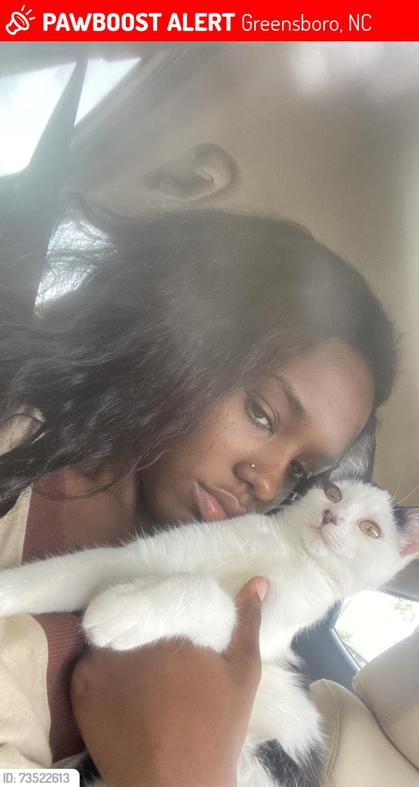 Lost Female Cat last seen Zip car wash Patterson at near woods, Greensboro, NC 27403
