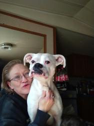 Lost Female Dog last seen Near Dollar general, Blairs, VA 24527