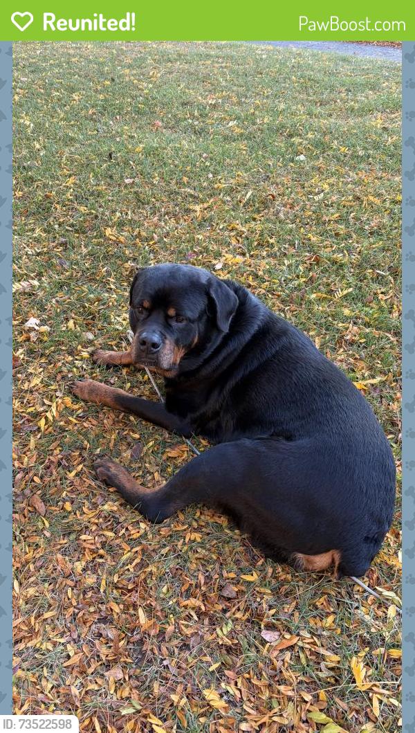 Reunited Male Dog last seen Long Pond and Larkins Crossing, Rochester, NY 14612