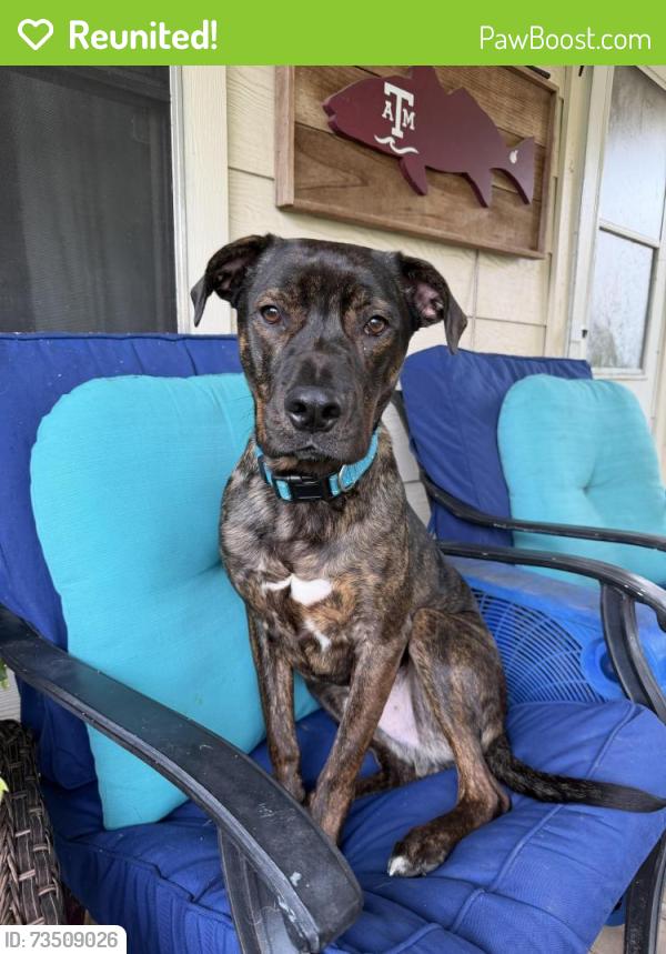 Reunited Male Dog last seen Spring creek nature center, Spring, TX 77386