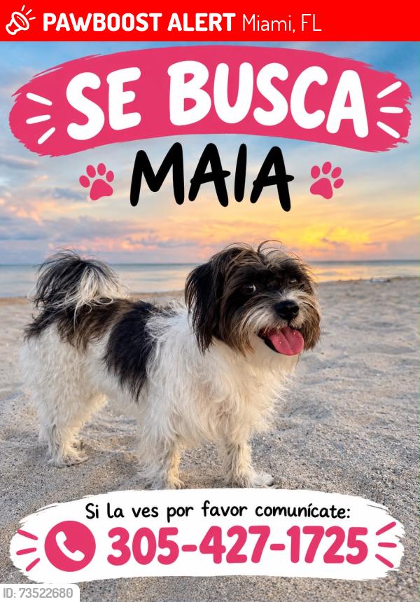 Lost Female Dog last seen Near NE 89th St, Miami, FL 33138, Miami, FL 33138