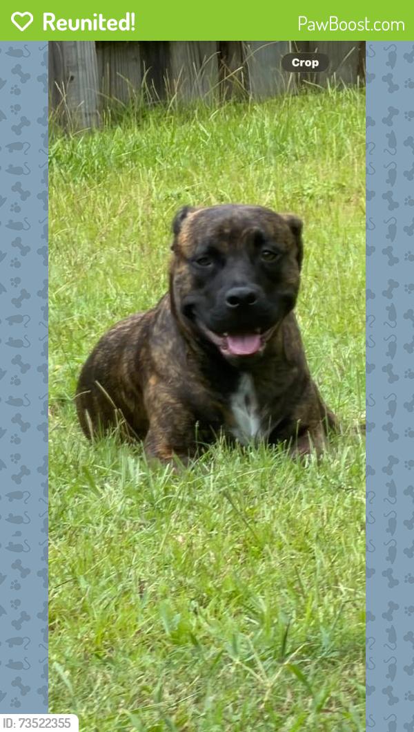 Reunited Male Dog last seen Heritage Plantation Community in Laurel Hill, Okaloosa County, FL 32567