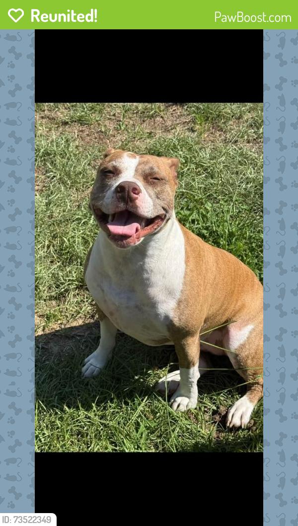 Reunited Female Dog last seen Heritage Plantation, Okaloosa County, FL 32567