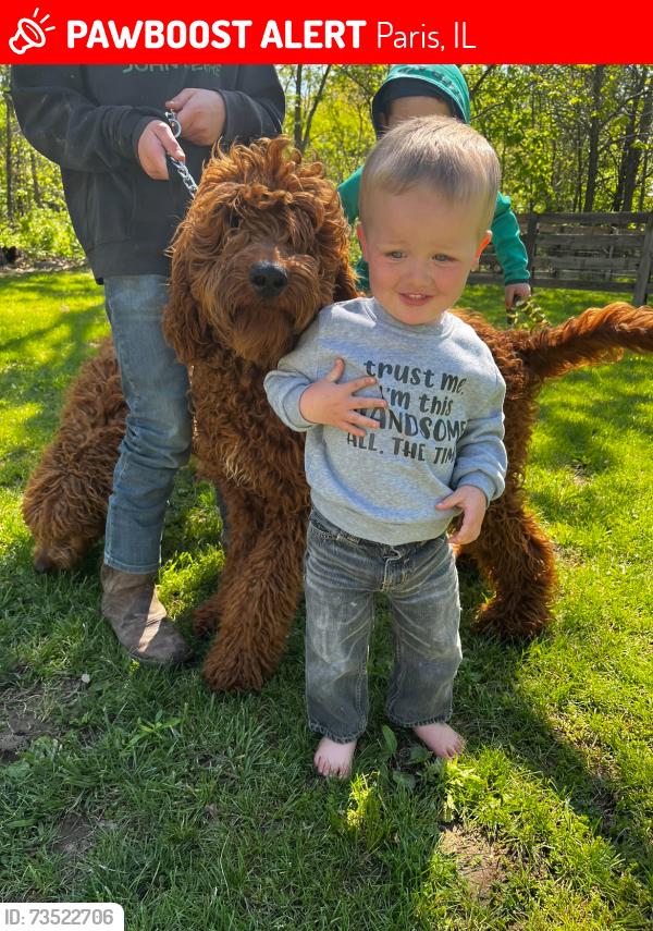 Lost Male Dog last seen State line church, Paris, IL 61944