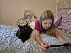 Reunited Female Cat last seen Gratiot blvd, Marysville, MI 48040