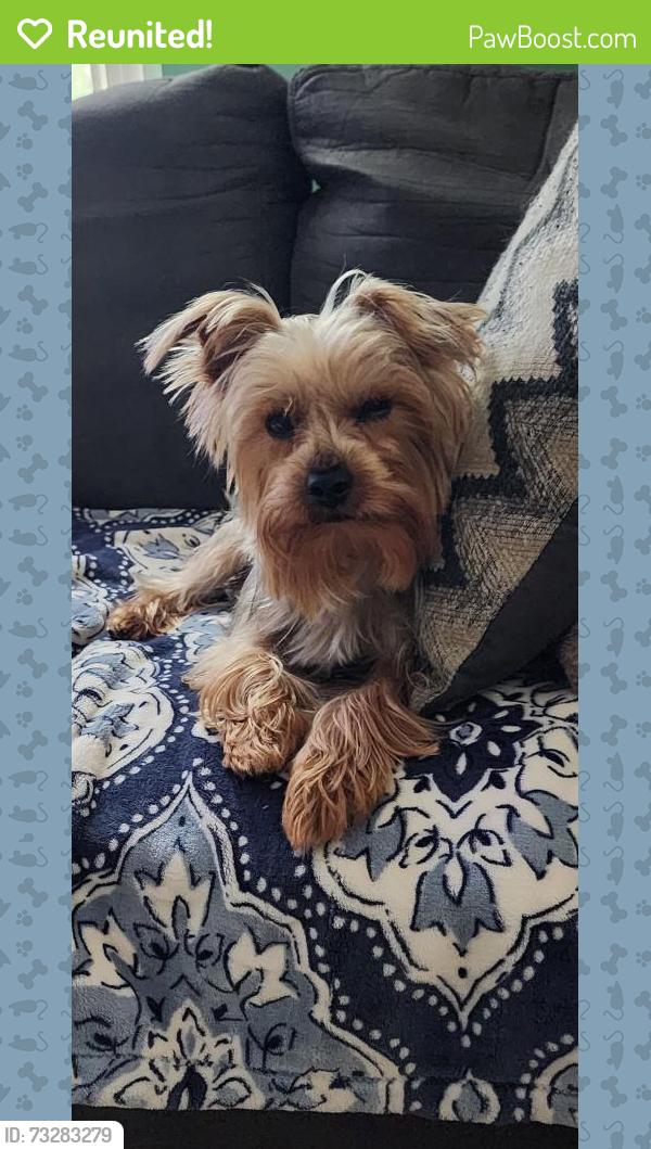 Reunited Male Dog last seen Suburban Dr /Calvary Dr /Edison Dr, Pensacola, FL 32505
