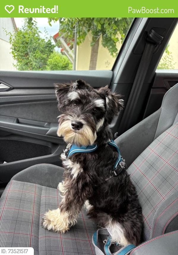Reunited Male Dog last seen Near Eagle Ave, Virginia Beach, VA 23453