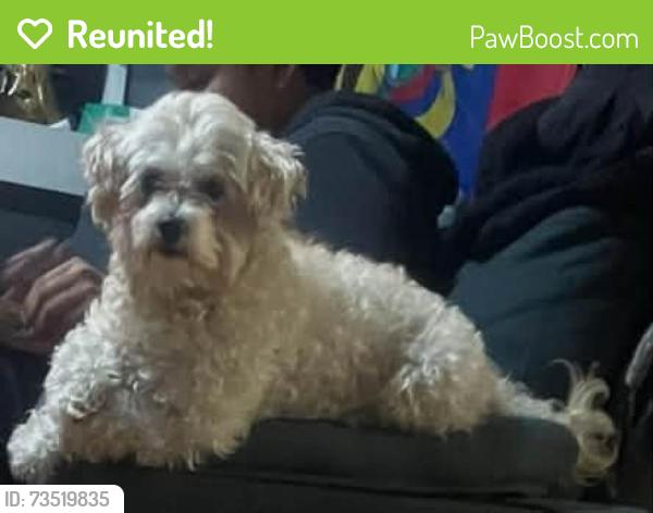 Reunited Male Dog last seen Near trade fair in Astoria and 99st, Queens, NY 11369