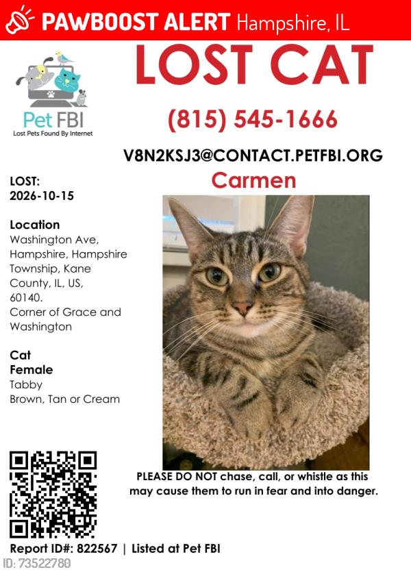 Lost Female Cat last seen Grace and Washington, Hampshire, IL 60140