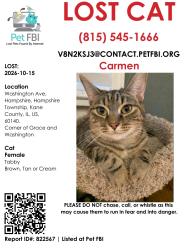 Lost Female Cat last seen Grace and Washington, Hampshire, IL 60140