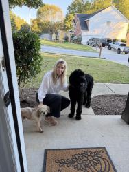 Found/Stray Male Dog last seen Briandwood dr, Newnan, GA 30265