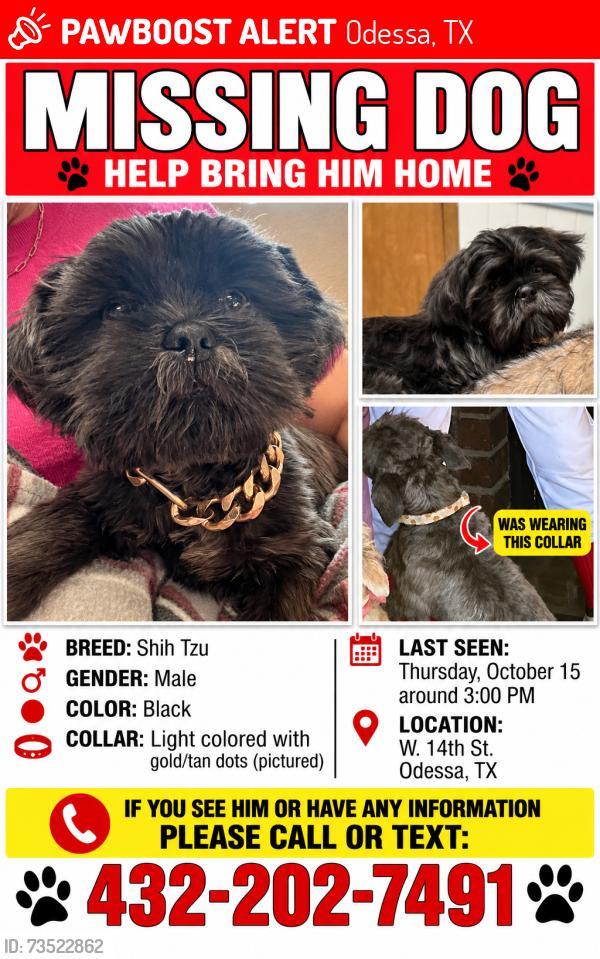 Lost Male Dog last seen West loop 338, Odessa, TX 79763