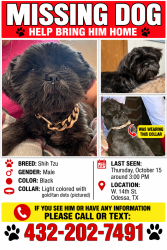 Lost Male Dog last seen West loop 338, Odessa, TX 79763