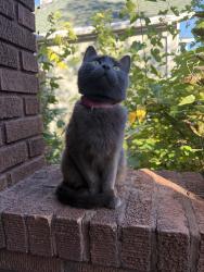 Found/Stray Female Cat last seen Atlantic and Minnehaha, Saint Paul, MN 55106