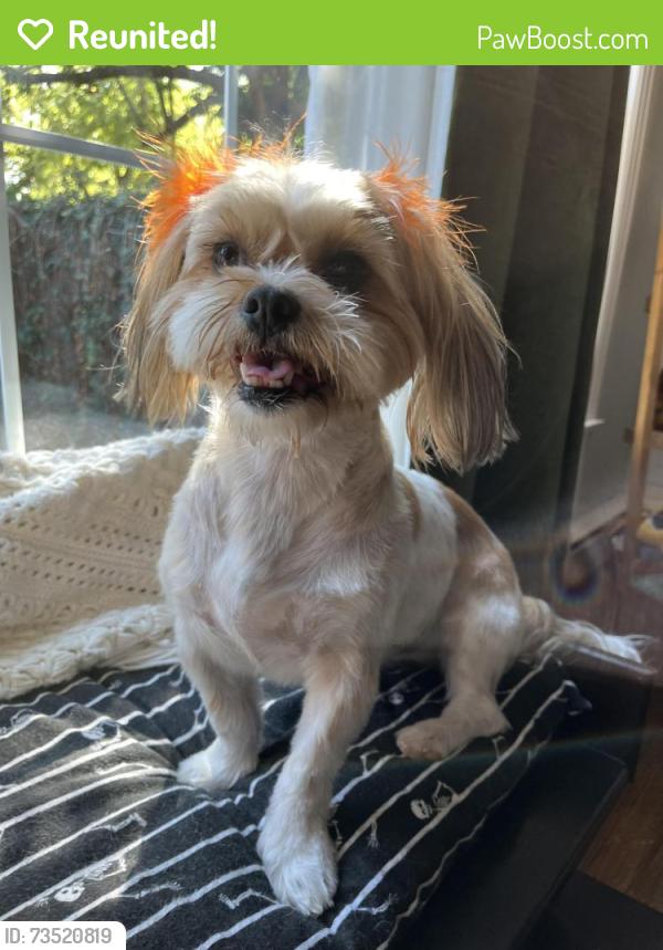 Reunited Female Dog last seen Armour and Central, Wichita, KS 67206