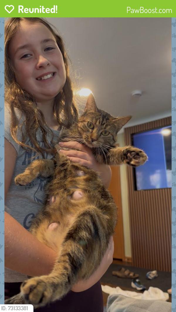 Reunited Female Cat last seen McKnight and Cedar in White Bear Lake, White Bear Lake, MN 55110