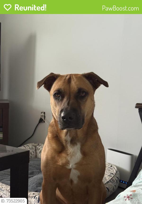 Reunited Male Dog last seen Mt. Nemo Conservation Area (Guelph Line), Burlington, ON L7P 0A5