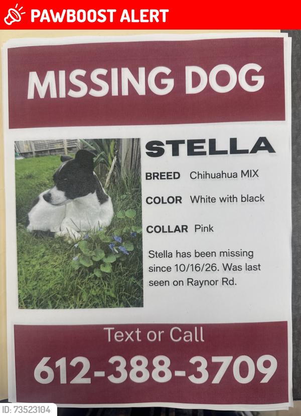 Lost Female Dog last seen Raynor & starlight, Morris Township, NJ 07960