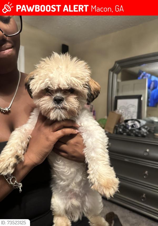 Lost Male Dog last seen Landford drive, Macon, GA 31213