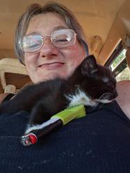 Lost Female Cat last seen Near south G st. Apt. 303, Tacoma, WA 98408