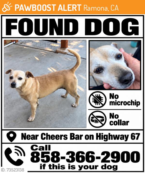 Found/Stray Male Dog last seen Highway67/Etchevery, Ramona, CA 92065