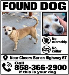 Found/Stray Male Dog last seen Highway67/Etchevery, Ramona, CA 92065