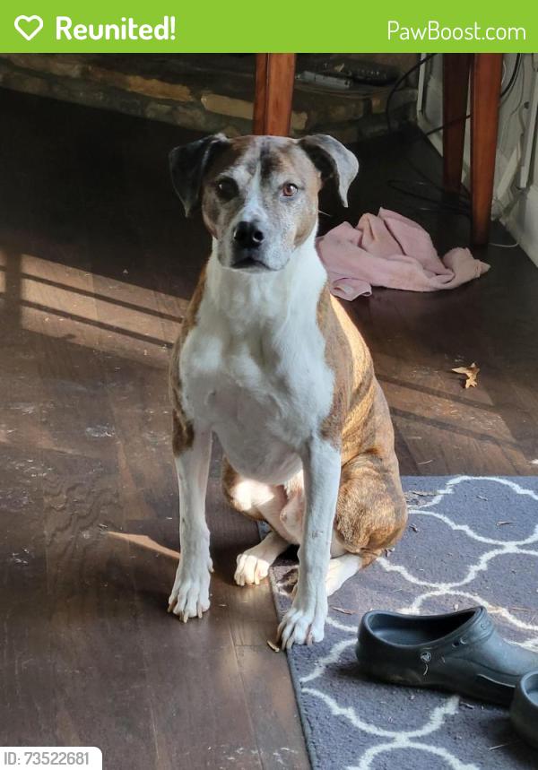 Reunited Male Dog last seen Near Rucker Road, Alpharetta, GA 30009