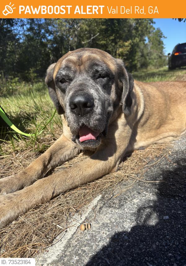 Found/Stray Female Dog last seen Church, Val Del Rd, GA 31632